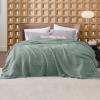 imageBedsure Gentlesoft 100 Cotton Blanket Queen Size for Bed  Breathable and Soft Waffle Weave Blanket for Summer Thick Cozy Fall Blankets for Women Gift White 90x90 Inches03  Sage Green