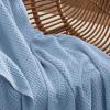 imageBedsure Gentlesoft 100 Cotton Blanket Queen Size for Bed  Breathable and Soft Waffle Weave Blanket for Summer Thick Cozy Fall Blankets for Women Gift White 90x90 Inches05  Sky Blue