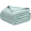 imageBedsure Gentlesoft 100 Cotton Blanket Queen Size for Bed  Breathable and Soft Waffle Weave Blanket for Summer Thick Cozy Fall Blankets for Women Gift White 90x90 Inches03  Mint
