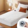 imageBedsure Heated Mattress Pad Queen  Bed Warmer with Memory ampamp Preheat Functions 12Hour Auto Off ampamp 10 Heat Settings Dual Controllers Fast Heating Brushed Electric Mattress Pad Queen 60quotx80quotTwin