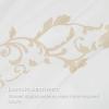 imageBedsure Luxury Hotel Duvet Cover Queen Size 100 White Cotton Embroidery Bedding Set Includes 1 Duvet Cover 90x90 Inches with Zipper Closure ampamp 2 Pillow Shams Comforter Sold Separately02  Curly Frame White No Comforter