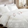 imageBedsure Luxury Hotel Duvet Cover Queen Size 100 White Cotton Embroidery Bedding Set Includes 1 Duvet Cover 90x90 Inches with Zipper Closure ampamp 2 Pillow Shams Comforter Sold Separately02  Curly Frame White No Comforter