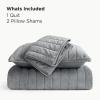 imageBedsure Luxury Velvet Quilt King Size Set  Lightweight Velvet Comforter King Corduroy Cloud Bedspread Coverlet Quilted Bedding Set Soft Winter Quilt with 2 Pillow Shams 106quotx96quot Ivory White02  Sliver Gray