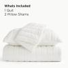 imageBedsure Luxury Velvet Quilt King Size Set  Lightweight Velvet Comforter King Corduroy Cloud Bedspread Coverlet Quilted Bedding Set Soft Winter Quilt with 2 Pillow Shams 106quotx96quot Ivory White04  Cream White