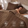 imageBedsure Luxury Velvet Quilt King Size Set  Lightweight Velvet Comforter King Corduroy Cloud Bedspread Coverlet Quilted Bedding Set Soft Winter Quilt with 2 Pillow Shams 106quotx96quot Ivory White07  Brown