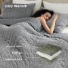 imageBedsure Luxury Velvet Quilt King Size Set  Lightweight Velvet Comforter King Corduroy Cloud Bedspread Coverlet Quilted Bedding Set Soft Winter Quilt with 2 Pillow Shams 106quotx96quot Ivory White02  Sliver Gray