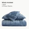 imageBedsure Luxury Velvet Quilt King Size Set  Lightweight Velvet Comforter King Corduroy Cloud Bedspread Coverlet Quilted Bedding Set Soft Winter Quilt with 2 Pillow Shams 106quotx96quot Ivory White03  Blue