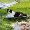 imageBedsure Outdoor Elevated Dog Bed Large Sized Dog Portable Indoor ampamp Outdoor Cooling Raised Cot Pet Hammock Bed with SkidResistant Feet Frame with Breathable Mesh Deep Sea Blue 49 inchesGreen
