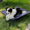 imageBedsure Outdoor Elevated Dog Bed Large Sized Dog Portable Indoor ampamp Outdoor Cooling Raised Cot Pet Hammock Bed with SkidResistant Feet Frame with Breathable Mesh Deep Sea Blue 49 inchesDeep Sea Blue