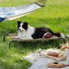 imageBedsure Outdoor Elevated Dog Bed Large Sized Dog Portable Indoor ampamp Outdoor Cooling Raised Cot Pet Hammock Bed with SkidResistant Feet Frame with Breathable Mesh Deep Sea Blue 49 inchesBrown