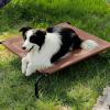 imageBedsure Outdoor Elevated Dog Bed Large Sized Dog Portable Indoor ampamp Outdoor Cooling Raised Cot Pet Hammock Bed with SkidResistant Feet Frame with Breathable Mesh Deep Sea Blue 49 inchesTerracotta