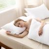 imageBedsure Pillows Queen Size Set of 2 Prewashed UltraSoft Bed Pillows Hotel Luxury Down Alternative Filling Breathable ampamp Fluffy for Back Side Stomach SleepersQueen
