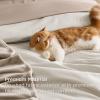 imageBedsure Queen Comforter Set Beige 8 Pieces Prewashed Queen Size Bed in a Bag with Soft Fleece Bed Blanket Down Alternative Bedding Set for All Seasons Sheets Pillowcases ampamp ShamsBeige