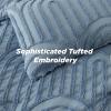 imageBedsure Queen Comforter Set Pink Boho Tufted Bed Set 3D Puffy Jacquard Bedding Queen Size 3 Pieces 1 Farmhouse Shabby Chic Embroidery Comforter with Bow Pattern ampamp 2 Pillow Cases05  Mineral Blue  Arch Jacquard