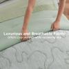 imageBedsure Queen Comforter Set Pink Boho Tufted Bed Set 3D Puffy Jacquard Bedding Queen Size 3 Pieces 1 Farmhouse Shabby Chic Embroidery Comforter with Bow Pattern ampamp 2 Pillow Cases07  Sage Green  Bow