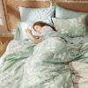 imageBedsure Sage Green Twin XL Comforter Set  5 Pieces Floral Bedding Sets Twin XL Bed in a Bag with Reversible Botanical Flowers Comforter Sheets Pillowcase ampamp Sham01  Sage Green