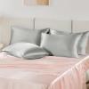 imageBedsure Satin Pillowcase for Hair  Ivory Satin Pillow Cases Standard Size with Zipper 2 Pack Similar to Silk Pillow Cases for Skin Silky ampamp Soft Gifts for Women Men 20x26 Inches02  Grey  Zipper