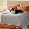 imageBedsure Self Warming Blanket for Small Dogs ampamp Cats  Waterproof Washable Sherpa Fleece Puppy Blanket Soft Plush Reversible Throw 25quotX35quot GreyLight Grey
