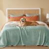imageBedsure Self Warming Blanket for Small Dogs ampamp Cats  Waterproof Washable Sherpa Fleece Puppy Blanket Soft Plush Reversible Throw 25quotX35quot GreyLight Green
