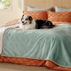 imageBedsure Self Warming Blanket for Small Dogs ampamp Cats  Waterproof Washable Sherpa Fleece Puppy Blanket Soft Plush Reversible Throw 25quotX35quot GreyLight Green