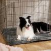imageBedsure Self Warming Cat Bed Medium Self Heating Dog Crate Pad Thermal Extra Warm Puppy Mat Indoor ampamp Outdoor NonSlip ampamp Washable 30quot x 20quot GreyFormal Grey