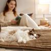 imageBedsure Self Warming Cat Bed Medium Self Heating Dog Crate Pad Thermal Extra Warm Puppy Mat Indoor ampamp Outdoor NonSlip ampamp Washable 30quot x 20quot GreyCaramel
