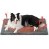 imageBedsure Self Warming Cat Bed Medium Self Heating Dog Crate Pad Thermal Extra Warm Puppy Mat Indoor ampamp Outdoor NonSlip ampamp Washable 30quot x 20quot GreyFormal Grey