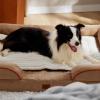 imageBedsure Self Warming Cat Bed Medium Self Heating Dog Crate Pad Thermal Extra Warm Puppy Mat Indoor ampamp Outdoor NonSlip ampamp Washable 30quot x 20quot GreyIvory White