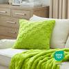 imageBedsure Throw Pillow Covers  Pack of 2 18x18 Pillow Cover Soft Cozy Fluffy Checkered Design Home Decor for Sofa Couch Bed White02lime Green