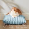 imageBedsure Throw Pillow Covers  Pack of 2 18x18 Pillow Cover Soft Cozy Fluffy Striped Design Home Decor for Sofa Couch Bed Linen12light Blue