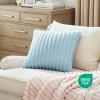 imageBedsure Throw Pillow Covers  Pack of 2 18x18 Pillow Cover Soft Cozy Fluffy Striped Design Home Decor for Sofa Couch Bed Linen12light Blue