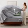 imageBedsure Twin XL Comforter Set  5 Pieces Reversible Blush Pink Bedding Twin XL Size Bed Set for All Seasons Bed in a Bag with Down Alternative Comforter Sheets Pillowcase ampamp Sham21  Olive Green