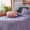 imageBedsure Twin XL Comforter Set  White Comforter Boho Tufted Shabby Chic Bedding for Kids 2 Pieces Vintage Farmhouse Bed Set for All Seasons Fluffy Soft Bedding with 1 Pillow Sham16  Grayish Purple