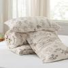 imageBedsure TwinTwin XL Comforter Set  Sage Green Bed Set 2 Pieces Cute Floral Bedding 1 Soft Reversible Botanical Flowers Comforter and 1 Pillow Sham28  Beige