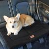 imageBedsure Washable Dog Crate Bed for Large Dogs Soft Foam Floor Pet Mat Versatile Lightweight Pet Crate Pad for CagesBlack