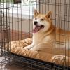 imageBedsure Washable Dog Crate Pad for Small Dogs AntiSlip Puppy Kennel Dog Bed for Crate  Ultra Soft Fleece Flat Thin Pet Mat Not Chew Proof Light Grey 23quotx17quotBrown
