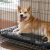 imageBedsure Washable Dog Crate Pad for Small Dogs AntiSlip Puppy Kennel Dog Bed for Crate  Ultra Soft Fleece Flat Thin Pet Mat Not Chew Proof Light Grey 23quotx17quotGrey