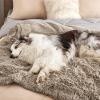 imageBedsure Waterproof Dog Blankets for Large Dogs  Cat Blanket for Couch Protector Washable Long Faux Fur Calming Soft Reversible Throw Furniture Protection for Puppy Pet Pet 40quotx50quot GreyLight Brown