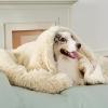 imageBedsure Waterproof Dog Blankets for Large Dogs  Cat Blanket for Couch Protector Washable Long Faux Fur Calming Soft Reversible Throw Furniture Protection for Puppy Pet Pet 40quotx50quot GreyCream
