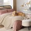 imageBedsure Waterproof Dog Blankets for Medium Dogs  Pet Blanket for Couch Protector Washable Premium Jacquard Coral Fleece Cat Throw Blanket Soft Plush Reversible Furniture Protection30quotx40quot TaupeCream