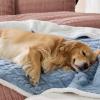 imageBedsure Waterproof Dog Blankets for Medium Dogs  Pet Blanket for Couch Protector Washable Premium Jacquard Coral Fleece Cat Throw Blanket Soft Plush Reversible Furniture Protection30quotx40quot TaupeLight Blue