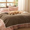 imageBedsure Waterproof Dog Blankets for Medium Dogs  Pet Blanket for Couch Protector Washable Premium Jacquard Coral Fleece Cat Throw Blanket Soft Plush Reversible Furniture Protection30quotx40quot TaupeTaupe