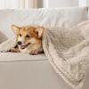 imageBedsure Waterproof Dog Blankets for Medium Dogs  Pet Blanket for Couch Protector Washable Premium Jacquard Coral Fleece Cat Throw Blanket Soft Plush Reversible Furniture Protection30quotx40quot TaupeCream