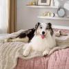 imageBedsure Waterproof Dog Blankets for Medium Dogs  Pet Blanket for Couch Protector Washable Premium Jacquard Coral Fleece Cat Throw Blanket Soft Plush Reversible Furniture Protection30quotx40quot TaupeCream