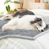 imageBedsure Waterproof Dog Blankets for Medium Dogs  Pet Blanket for Couch Protector Washable Premium Jacquard Coral Fleece Cat Throw Blanket Soft Plush Reversible Furniture Protection30quotx40quot TaupeGrey