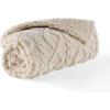 imageBedsure Waterproof Dog Blankets for Medium Dogs  Pet Blanket for Couch Protector Washable Premium Jacquard Coral Fleece Cat Throw Blanket Soft Plush Reversible Furniture Protection30quotx40quot TaupeCream