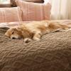 imageBedsure Waterproof Dog Blankets for Medium Dogs  Pet Blanket for Couch Protector Washable Premium Jacquard Coral Fleece Cat Throw Blanket Soft Plush Reversible Furniture Protection30quotx40quot TaupeTaupe