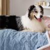 imageBedsure Waterproof Dog Blankets for Medium Dogs  Pet Blanket for Couch Protector Washable Premium Jacquard Coral Fleece Cat Throw Blanket Soft Plush Reversible Furniture Protection30quotx40quot TaupeLight Blue