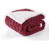 imageBedsure Waterproof Dog Blankets for Medium Dogs  Pet Blanket for Couch Protector Washable Premium Jacquard Coral Fleece Cat Throw Blanket Soft Plush Reversible Furniture Protection30quotx40quot TaupeBurgundy