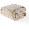 imageBedsure Waterproof Dog Blankets for Medium Dogs  Pet Blanket for Couch Protector Washable Premium Jacquard Coral Fleece Cat Throw Blanket Soft Plush Reversible Furniture Protection30quotx40quot TaupeCream
